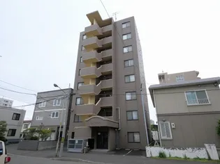 ピュアウイングの画像