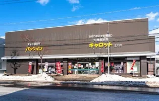 ピアブルー【202号室】の周辺