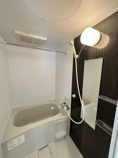 アステールN23【4階】の風呂