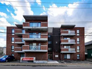 カトラン麻生の画像