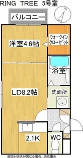 RING TREE(リングツリー)【3階】の間取り