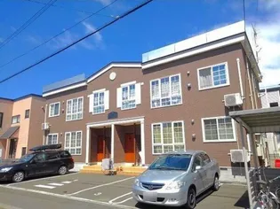 サルバドールN30の画像