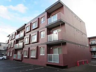 クリスタルリバー参番館の画像