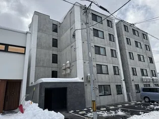 ラピスブラオN27の画像