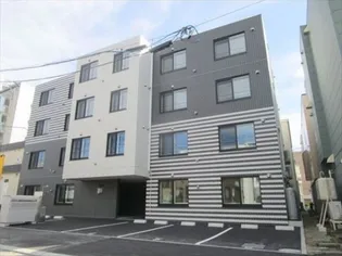 サクラN27の画像