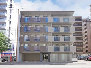 NーSELECTION STELLAの画像