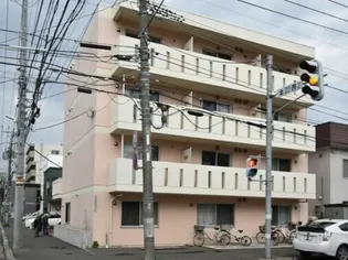 フランドール22の画像