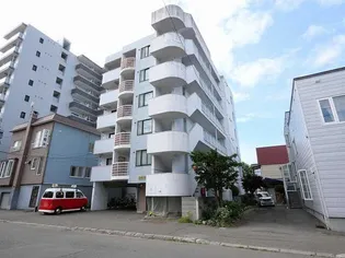 フェリスカーサN20の画像