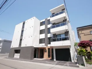 TURAN N20の画像