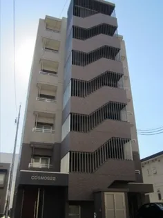 COSMOS22の画像
