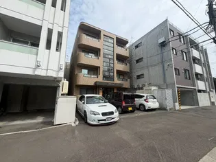 Y M24の画像