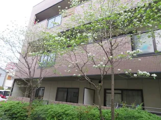 カサセラミカの画像