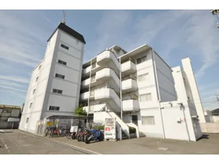 カパルアの画像