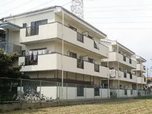 ハイムモリグチの画像