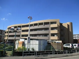 エバーグレイスの画像