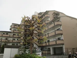 テラートⅠの画像