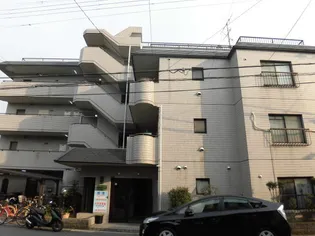 メゾンエルセビアの画像