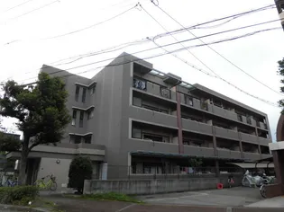 カーサヴェルデ大道南の画像