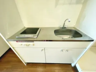 ロシェ宝塚【311号室】のキッチン