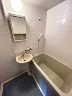 ロシェ宝塚【3階】の風呂