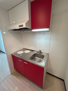 ビガーポリス 133 宝塚【3階】のキッチン