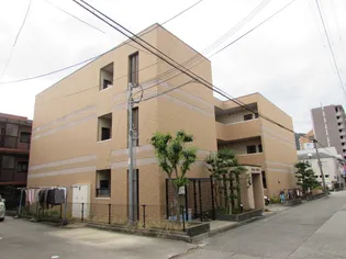 ジョイモアーの画像