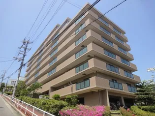 ヴィオレット宝塚の画像