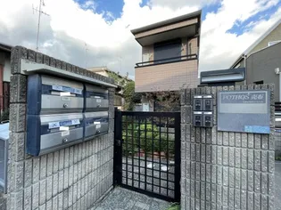 ポトス売布の画像