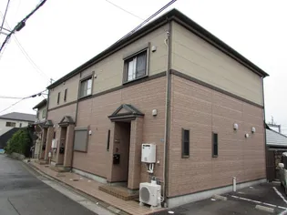 シャンドゥオルキデの画像