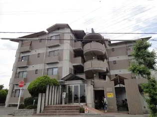 サザンハイムグルックの画像