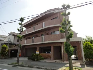 エディフィシオエスペランサの画像