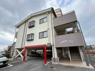 カワモヒルの画像