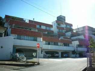 花川野上ハイツの画像