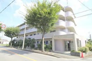 藤ノ木ハイツの画像