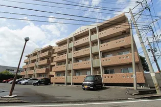 宮崎県宮崎市下原町【マンション】の外観