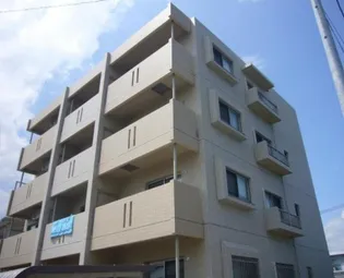 OSMANTHUS Tの画像