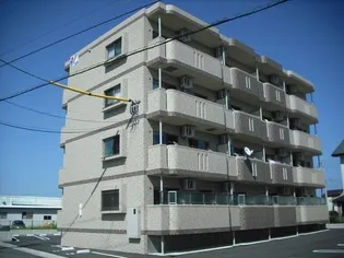 アミリアコートの画像