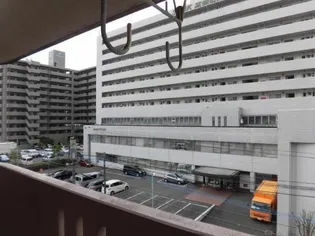 セルリア大橋【4階】のその他画像