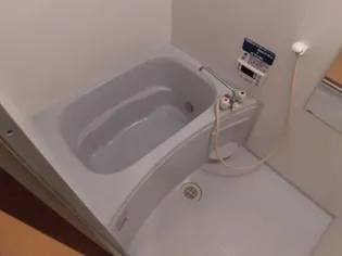 セルリア大橋【4階】の風呂