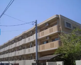 ヴィブァン大橋の画像