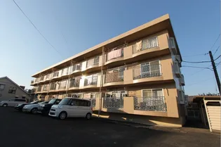 アムール霧島の画像