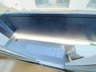 サザンウイング2番館【3階】の内装