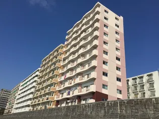 オリエンタルハイツ【703号室】の外観