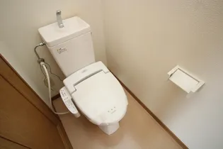 日髙ハイツⅡ【2階】の内装