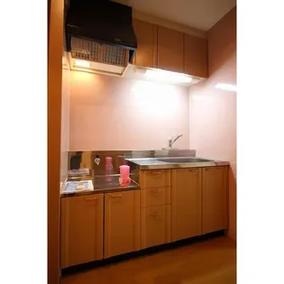 EXESS【502号室】のキッチン