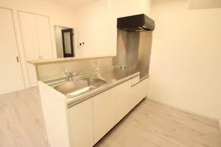 アルテマイスターカメリア【1階】のキッチン