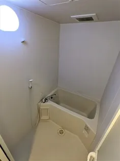 ソラーレ広島【702号室】の風呂