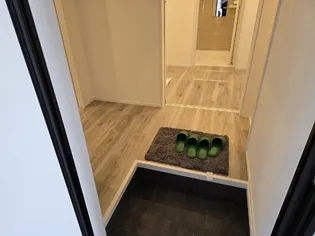 Nana A棟【1階】の玄関