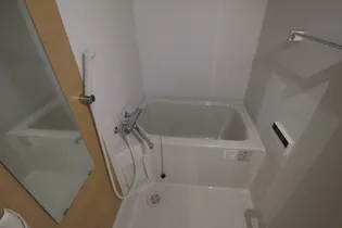 宮崎ミッドタウンツインタワーマハロ【5階】の風呂