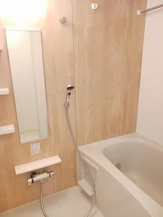 ウェル アイランドS−Ⅰ【1階】の風呂